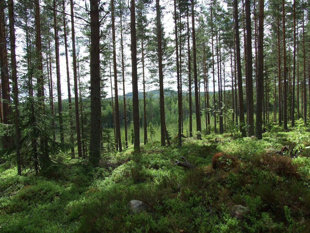 Hovra Vandrarhem Håvra Kültér fotó